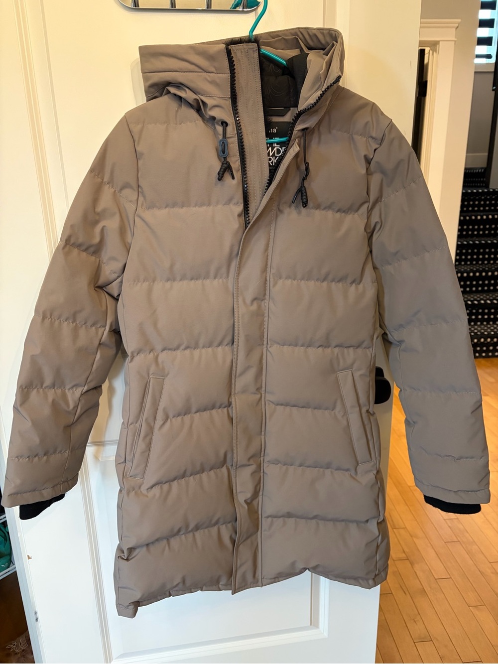 Aritzia Powder Parka